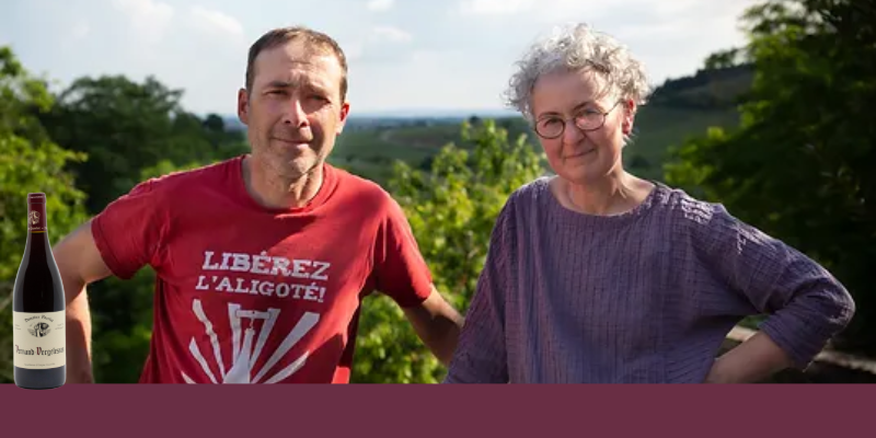 Depuis le 17&egrave;me si&eacute;cle le domaine Luc et Lise Pavelot &agrave; Pernand-Vergeless, mill&eacute;sime 2023